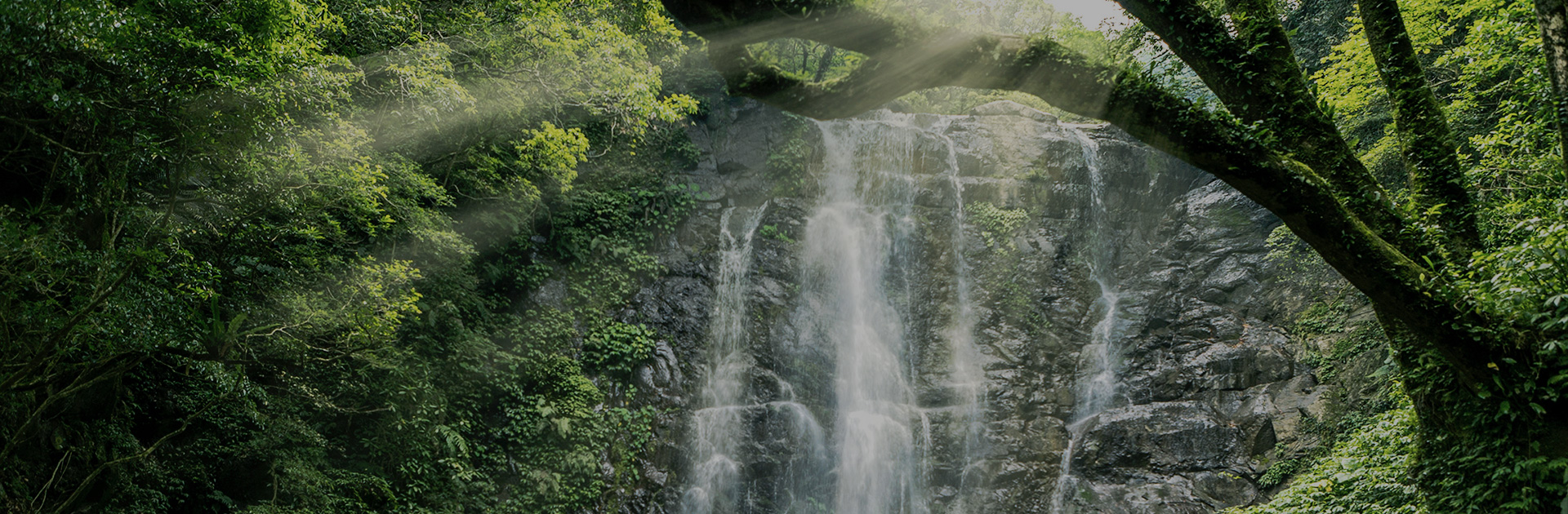 (Image)